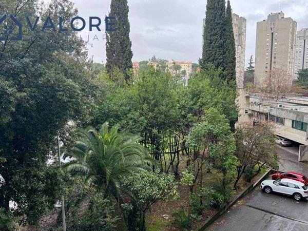 appartamento in vendita a Roma in zona Monte Sacro/Talenti