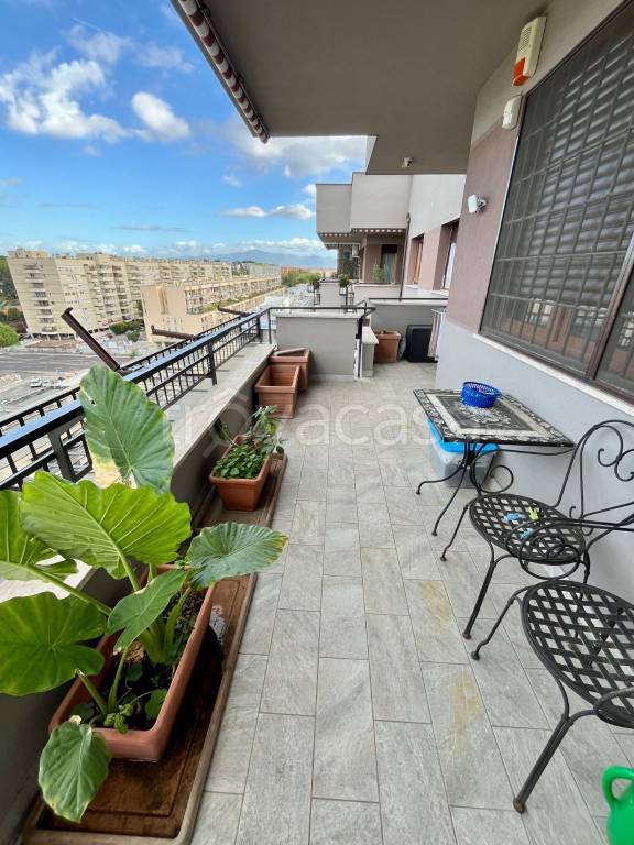 appartamento in vendita a Roma in zona Monte Sacro/Talenti