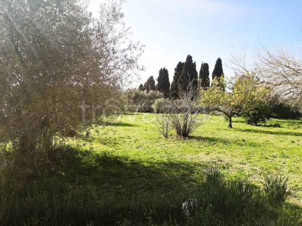 terreno agricolo in vendita a Roma in zona Infernetto
