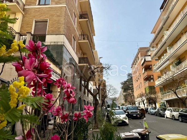 appartamento in vendita a Roma in zona Trieste
