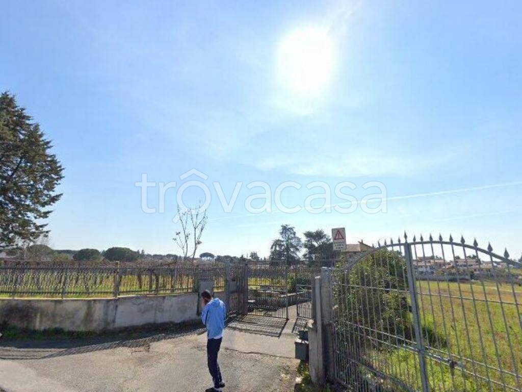 locale commerciale in vendita a Roma in zona Tor Vergata/Torrenova