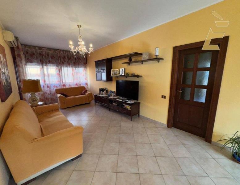 immagine annuncio 0 di 15