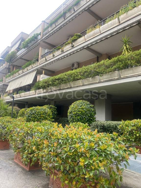 appartamento in vendita a Roma in zona Primavalle