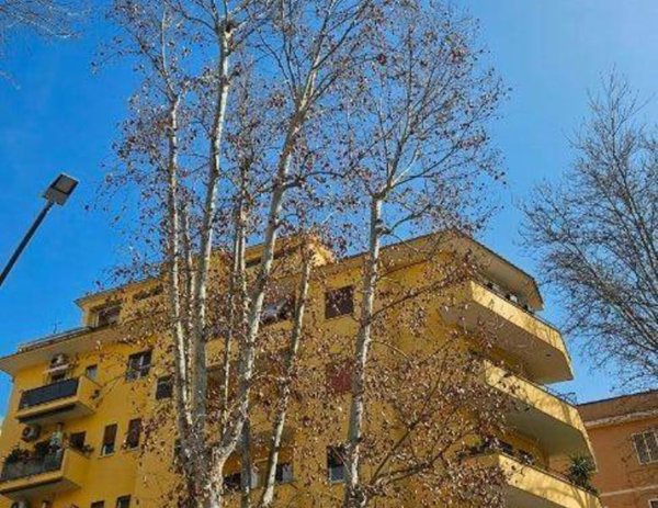 appartamento in vendita a Roma in zona Appio Latino