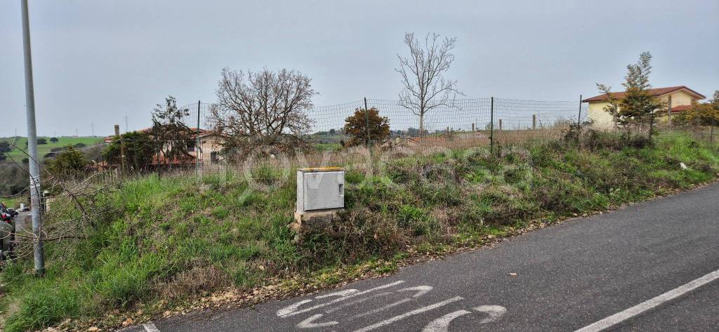 terreno agricolo in vendita a Roma in zona Trigoria
