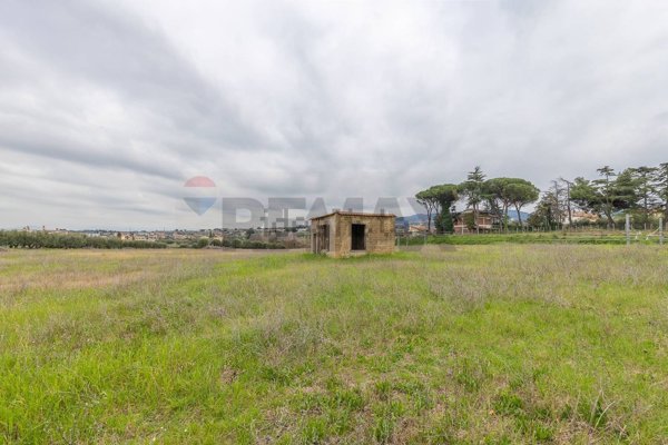 appartamento in vendita a Roma in zona Tor Vergata/Torrenova