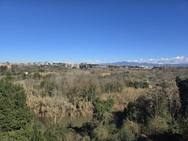 appartamento in vendita a Roma in zona Monte Sacro/Talenti