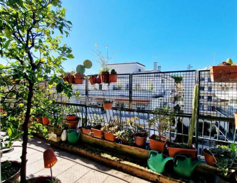 appartamento in vendita a Roma in zona Trieste