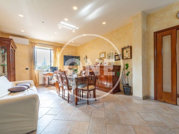 immagine annuncio 0 di 15