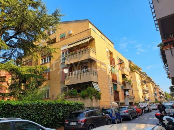 appartamento in vendita a Roma in zona Torrevecchia