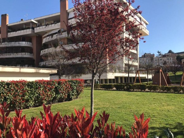 appartamento in vendita a Roma in zona Monte Sacro/Talenti