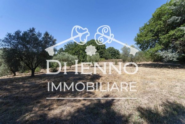 terreno agricolo in vendita a Roma in zona Flaminio