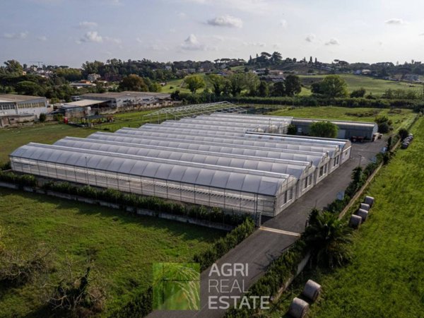 terreno agricolo in vendita a Roma in zona Pantan Monastero