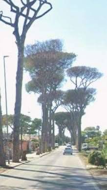 appartamento in vendita a Roma in zona Castel Porziano