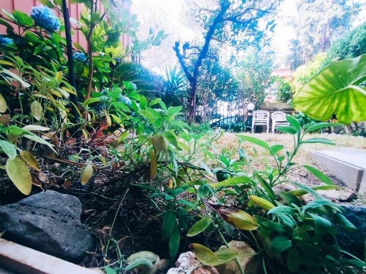 appartamento in vendita a Roma in zona Torre Gaia