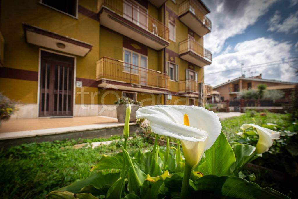 appartamento in vendita a Roma in zona Lunghezza