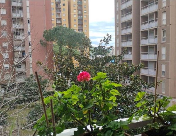 appartamento in vendita a Roma in zona Collatino