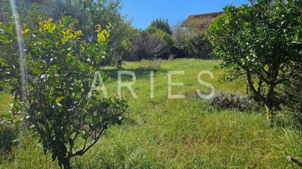 terreno agricolo in vendita a Roma in zona Acilia