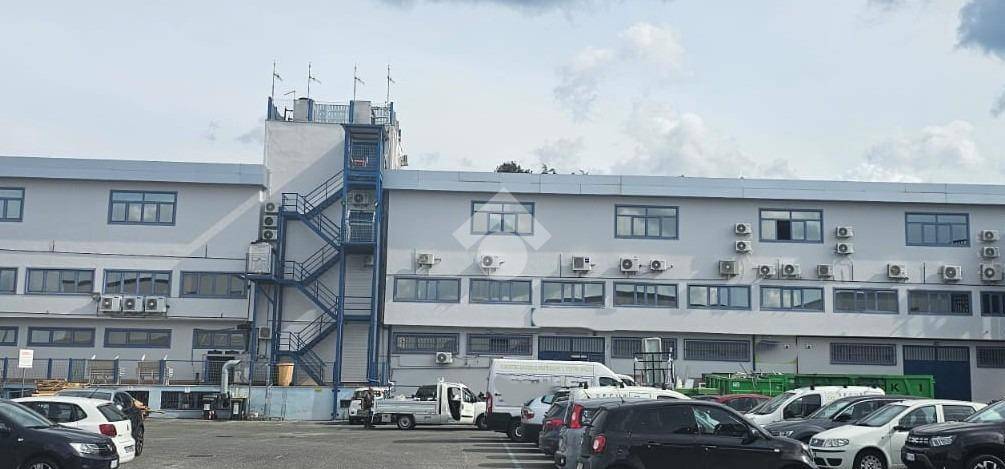 locale commerciale in vendita a Roma in zona Tor Vergata/Torrenova