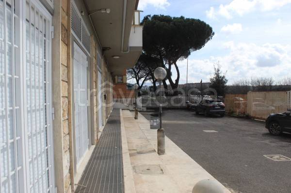 locale commerciale in vendita a Roma in zona Torre Spaccata
