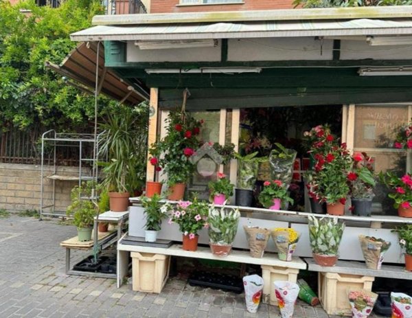 appartamento in vendita a Roma in zona Ostia