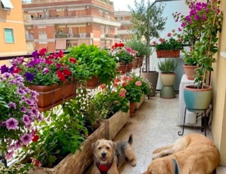 appartamento in vendita a Roma in zona Prenestino-Labicano