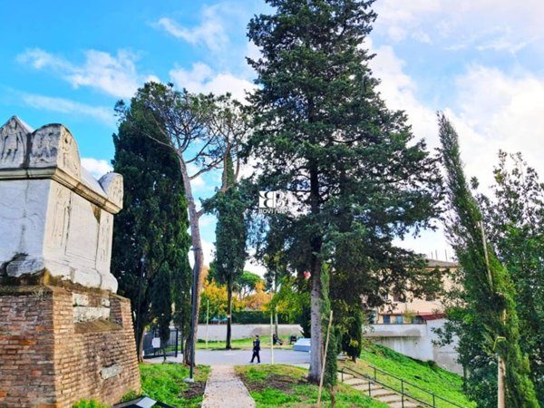 appartamento in vendita a Roma in zona Grottarossa