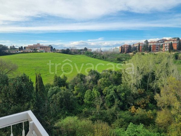 appartamento in vendita a Roma in zona Trionfale