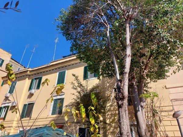 appartamento in vendita a Roma in zona Tuscolano