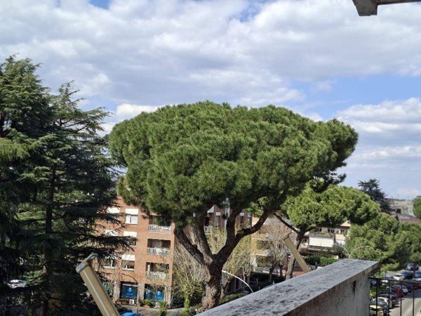 appartamento in vendita a Roma in zona Monte Sacro/Talenti