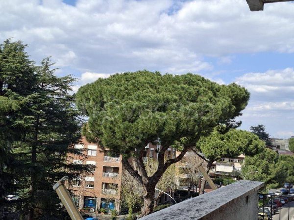 appartamento in vendita a Roma in zona Monte Sacro/Talenti