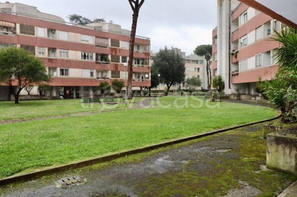appartamento in vendita a Roma in zona Salario
