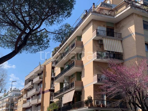 appartamento in vendita a Roma in zona Monte Sacro/Talenti