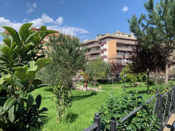 appartamento in vendita a Roma in zona Monte Sacro/Talenti
