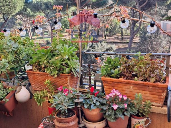 appartamento in vendita a Roma in zona Appio Latino