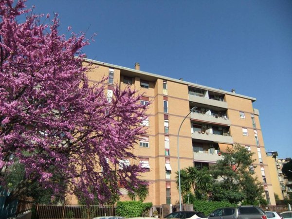 appartamento in vendita a Roma in zona Cinecittà