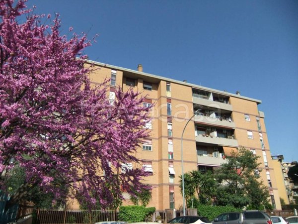 appartamento in vendita a Roma in zona Cinecittà