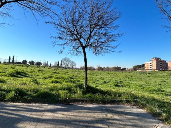 appartamento in vendita a Roma in zona Selva Candida