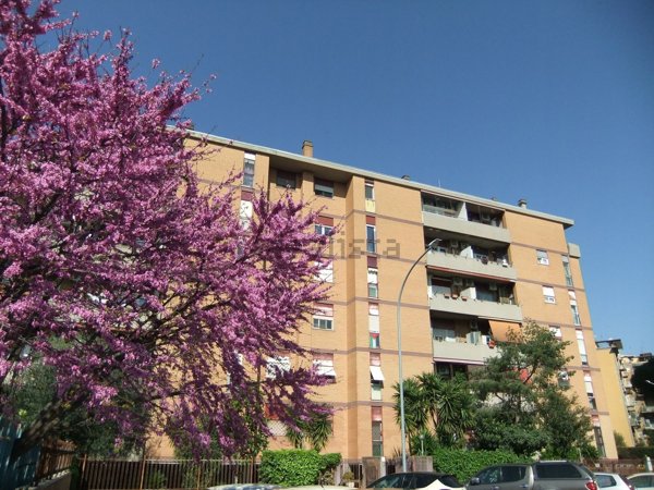 appartamento in vendita a Roma in zona Don Bosco