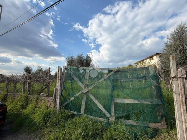 terreno agricolo in vendita a Roma in zona Colle del Sole