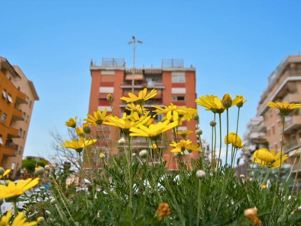 appartamento in vendita a Roma in zona Aurelio