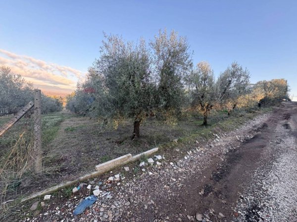 terreno agricolo in vendita a Roma in zona Finocchio