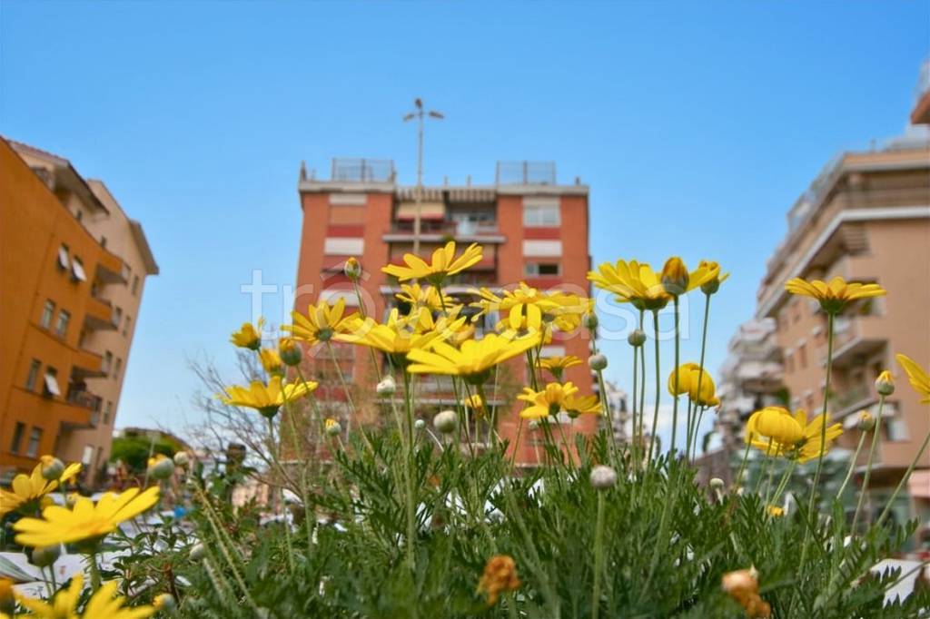 appartamento in vendita a Roma in zona Aurelio