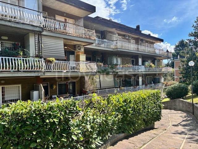 appartamento in vendita a Roma in zona Trionfale
