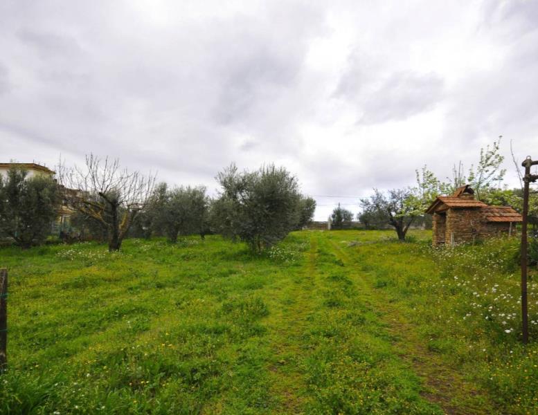 casa indipendente in vendita a Roma in zona Finocchio