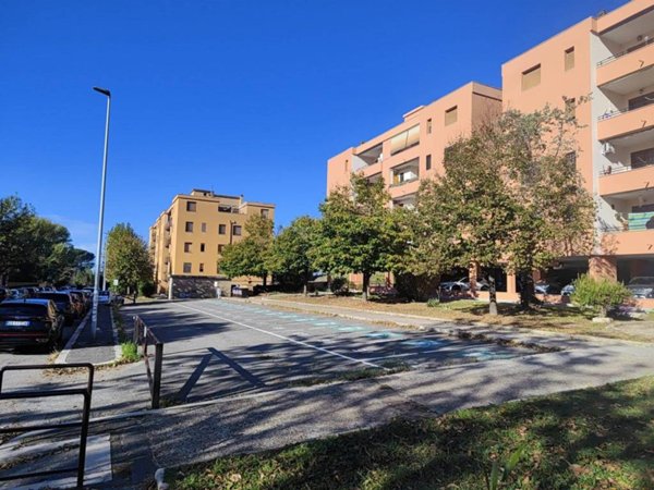 appartamento in vendita a Roma in zona Collatino