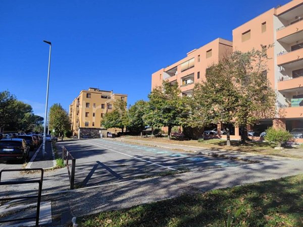 appartamento in vendita a Roma in zona Collatino