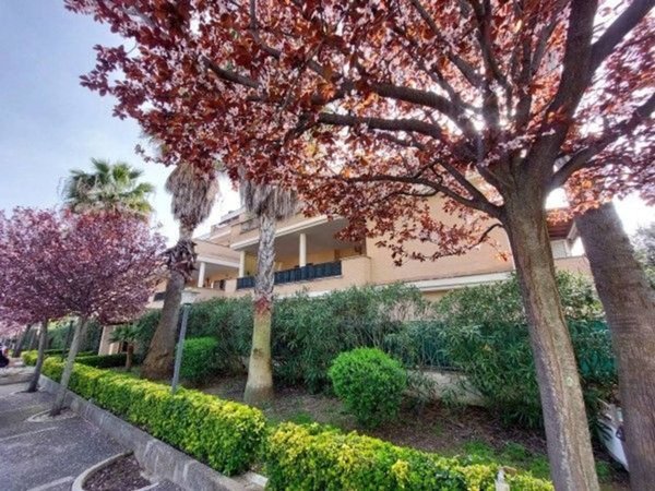 appartamento in vendita a Roma in zona Massimina/Casal Lumbroso