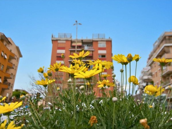appartamento in vendita a Roma in zona Aurelio