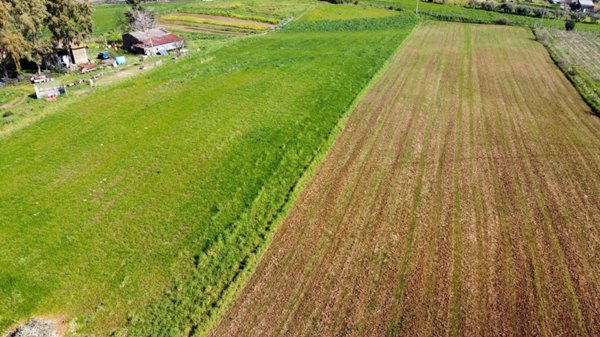 terreno agricolo in vendita a Roma in zona Cesano